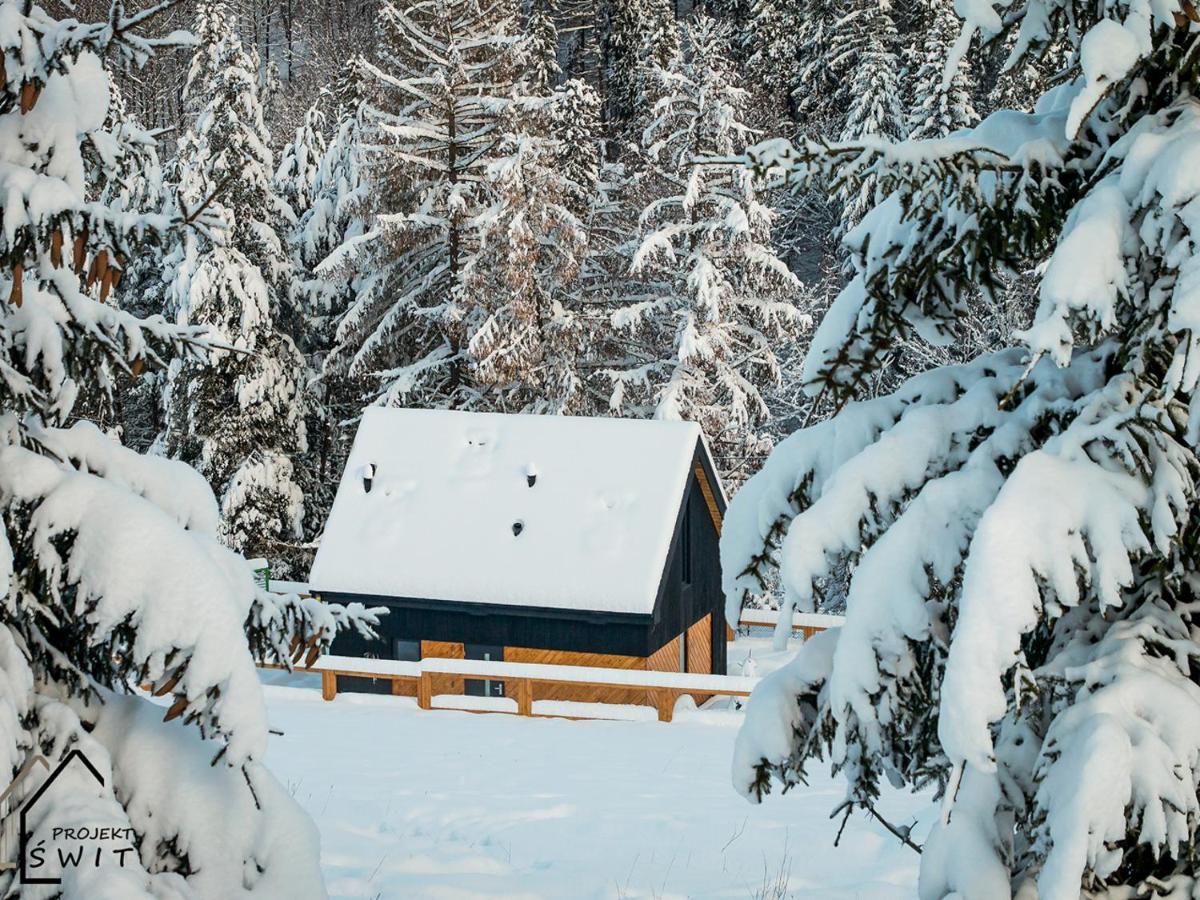Projekt Swit - Domki Z Prywatna Jacuzzi I Sauna Żywiec Exteriér fotografie