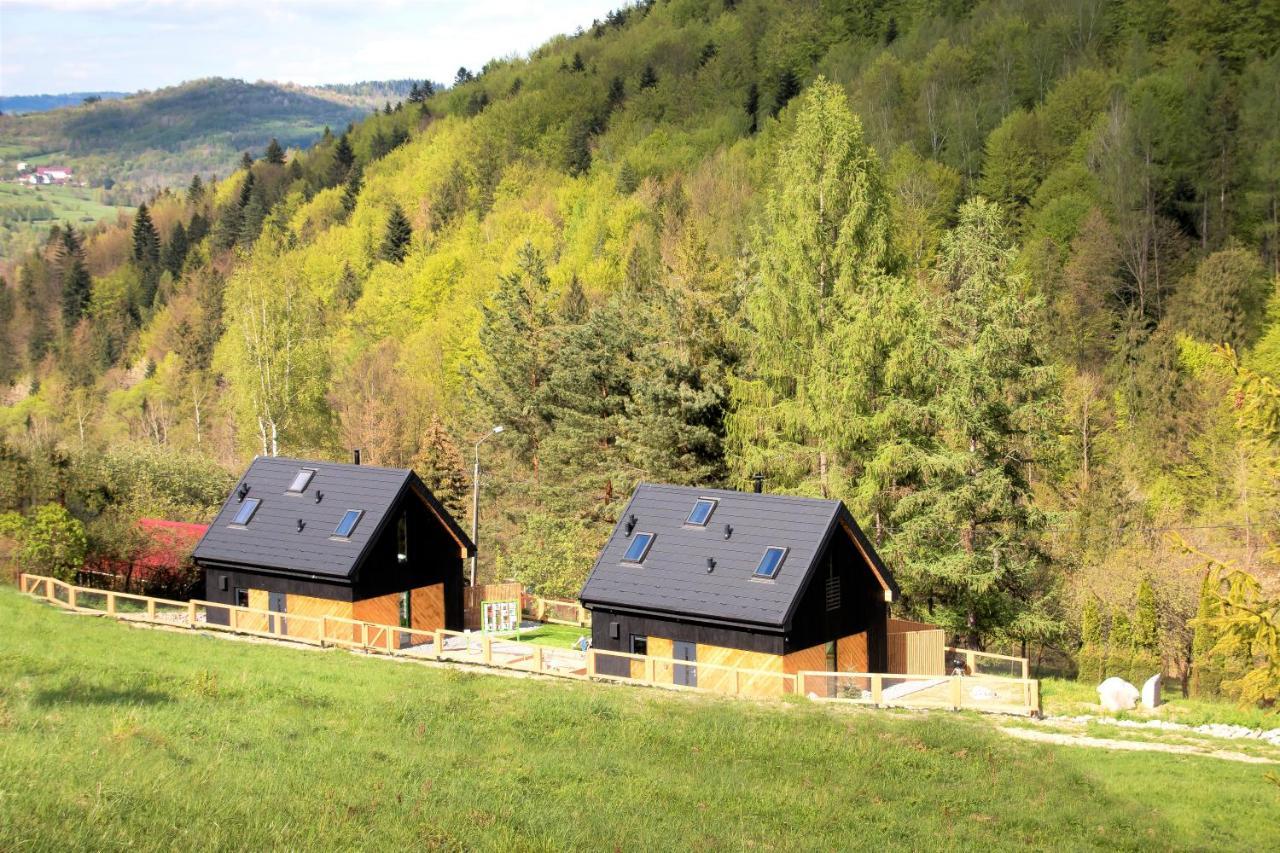 Projekt Swit - Domki Z Prywatna Jacuzzi I Sauna Żywiec Exteriér fotografie